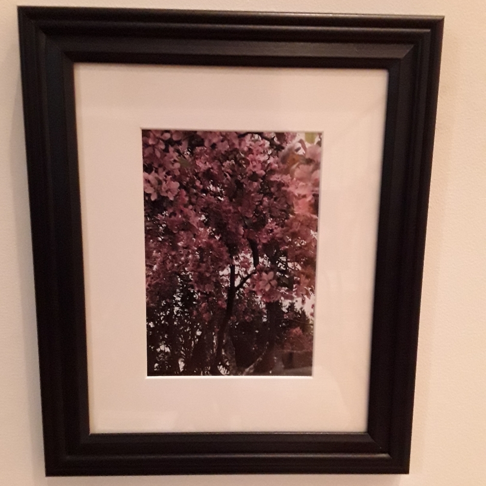 Artisan One of a Kind Photo